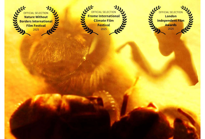 do movie poster or film poster